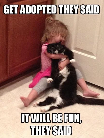 Adopted.webp