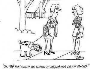 aggressive-dog-cartoon-2-300x229.webp