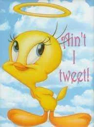 Ain\'t I tweet.webp