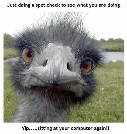 ajustcheckingup.gif