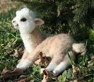 alpaca.webp