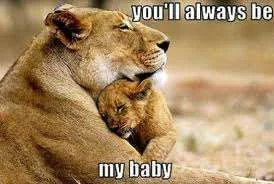 Always be my baby.webp