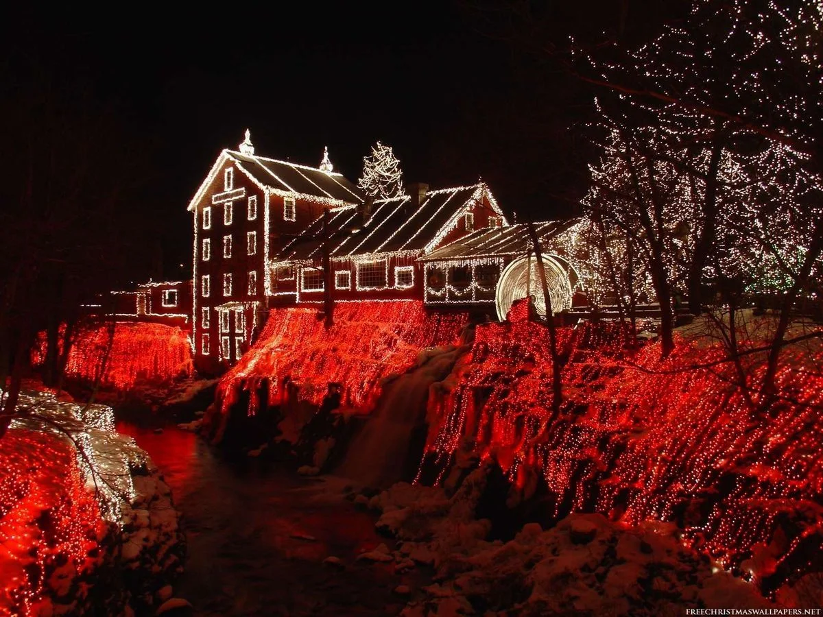 Amazing-Christmas-Nature-at-Clifton-495284.webp