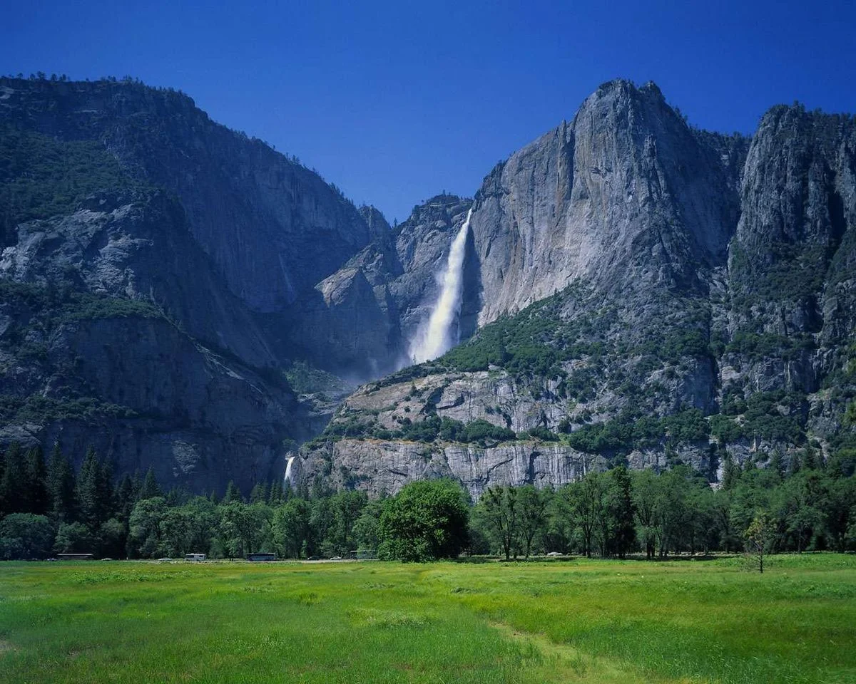 amazing pics of nature-2.webp