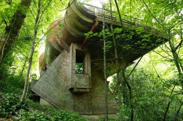 amazing-tree-houses-gallery-588x391.webp