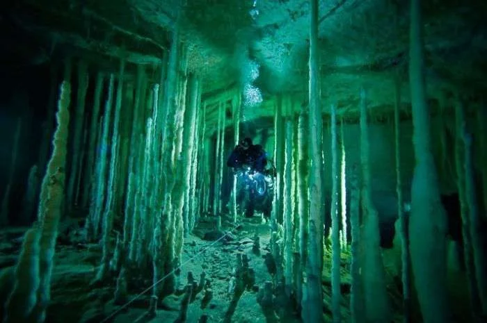 amazing_caves_of_the_bahamas_01.webp