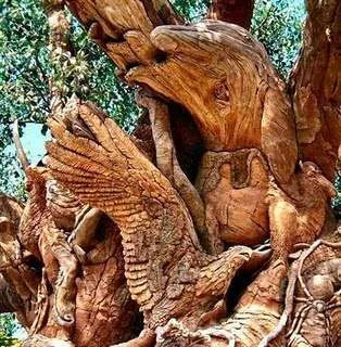 Amazing_tree2.webp