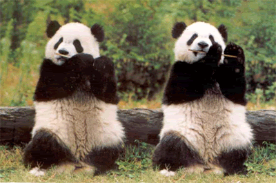 anda-dance.gif