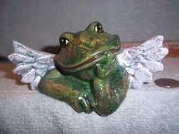 Angel frog 2.webp