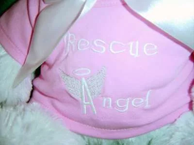 AngelBear3.webp