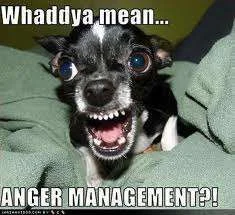 anger.webp