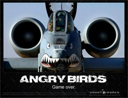 angrey Birds.webp