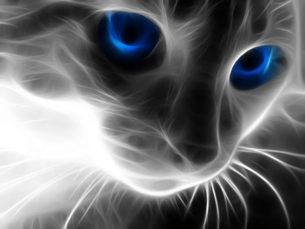 Animal-Cat-67800.webp