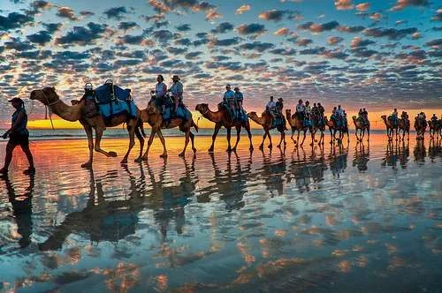 animals-beautiful-photography-sky-sunset-Favim.com-81980.webp