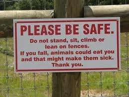animals.webp
