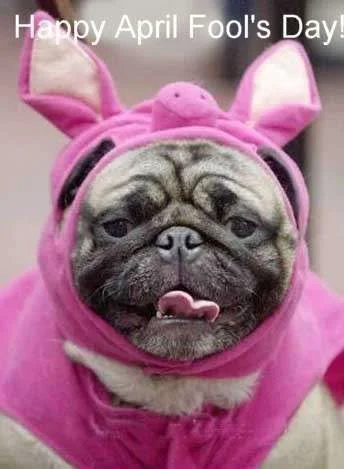 April-fool1.webp