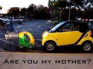 Are you my mother.webp