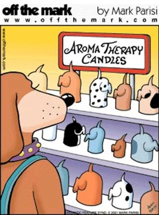 aromatherapy_candles.webp