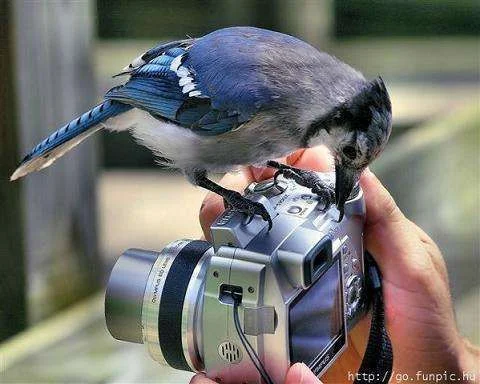 ATT000011.webp
