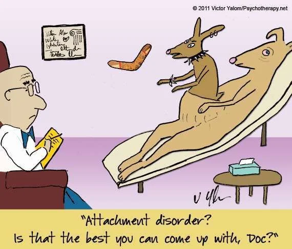 attachment do kangaroo.webp