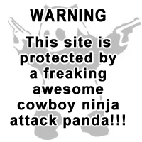 attack-panda.webp