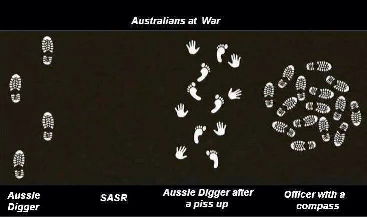 Aussies.webp