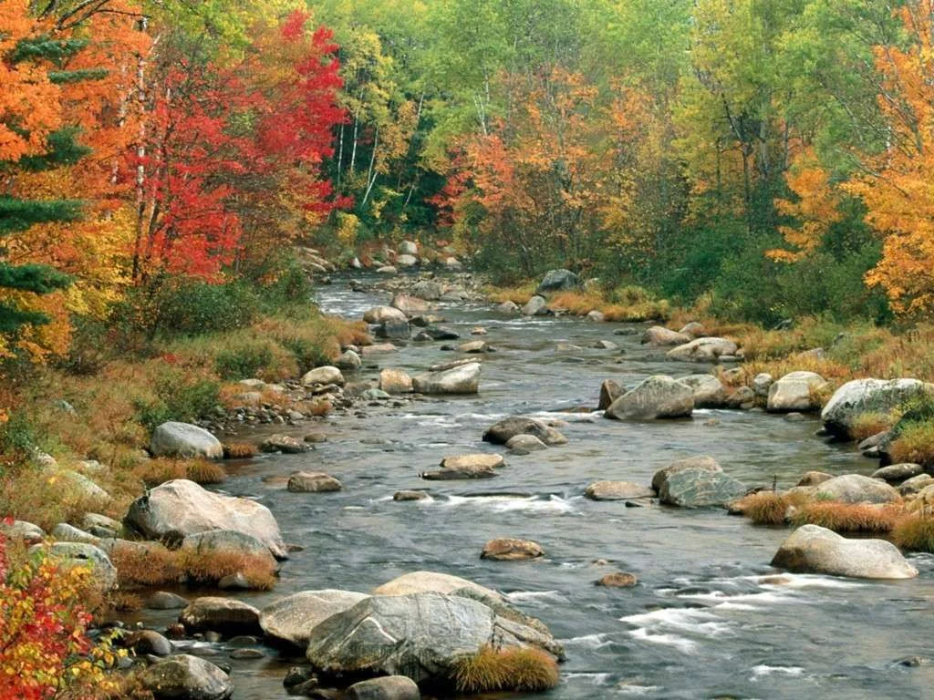 Autumn Colors, White Mountains, New Hampshire - .webp