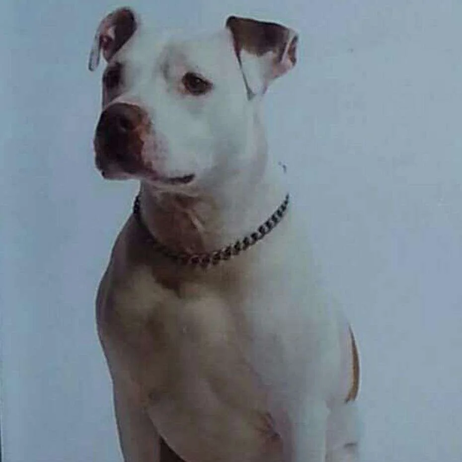 avatar_1449209041506.webp