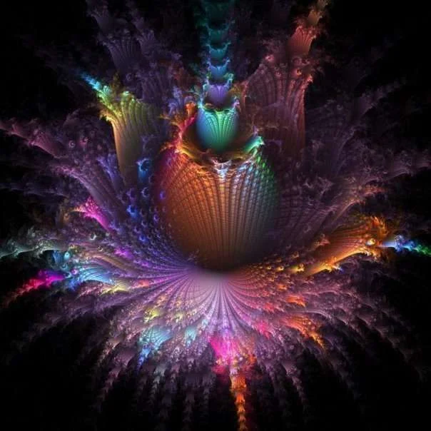 Awesome_Lotus_Flower36189_1512895425980_1342244627_31298116_6338297_n.webp