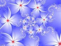 B5.webp