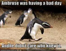 badday.webp