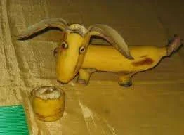 Banana dog.webp