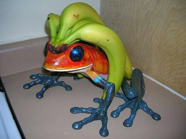 Banana-Frog.webp