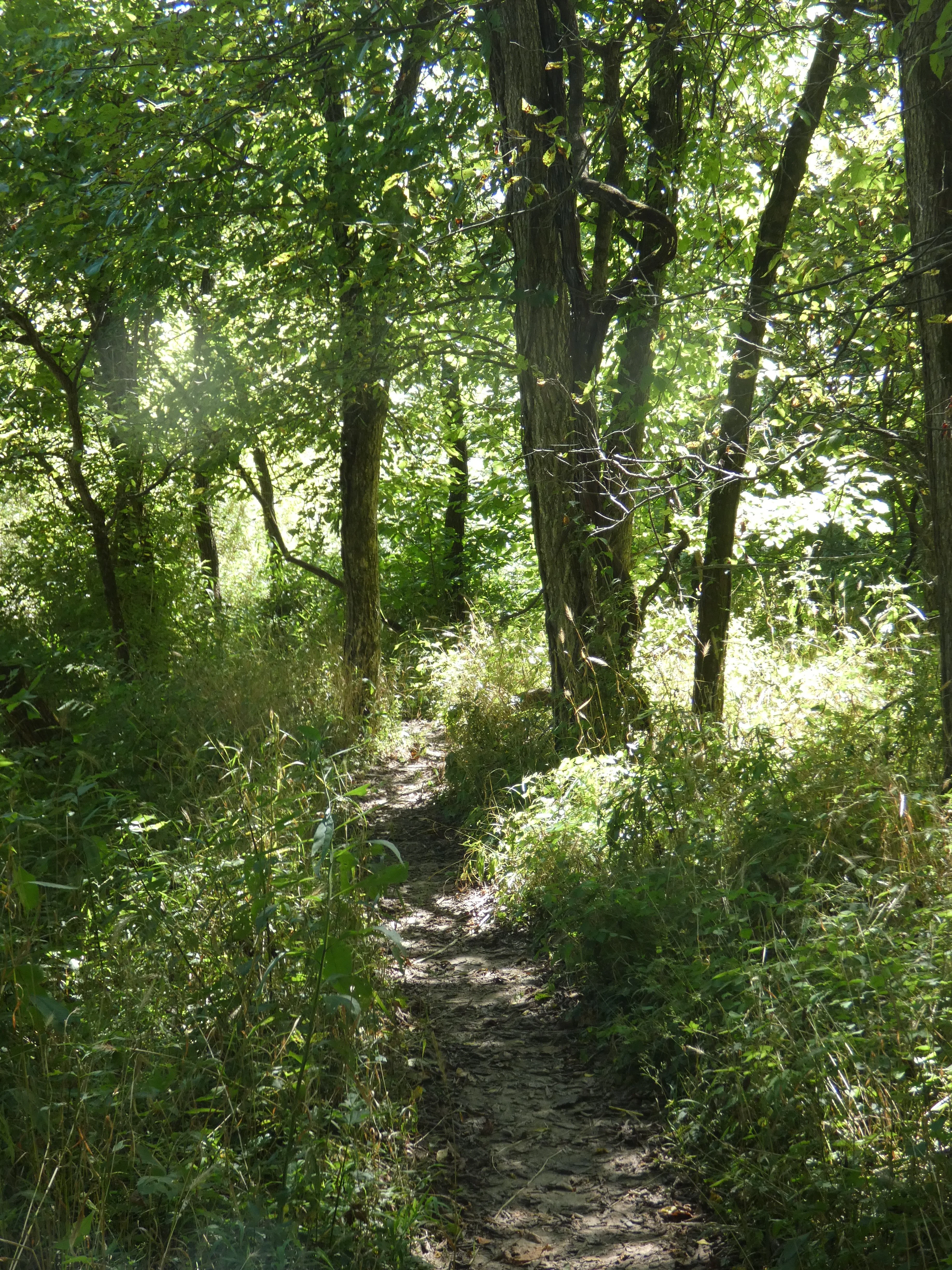 BB creekside path_3.webp