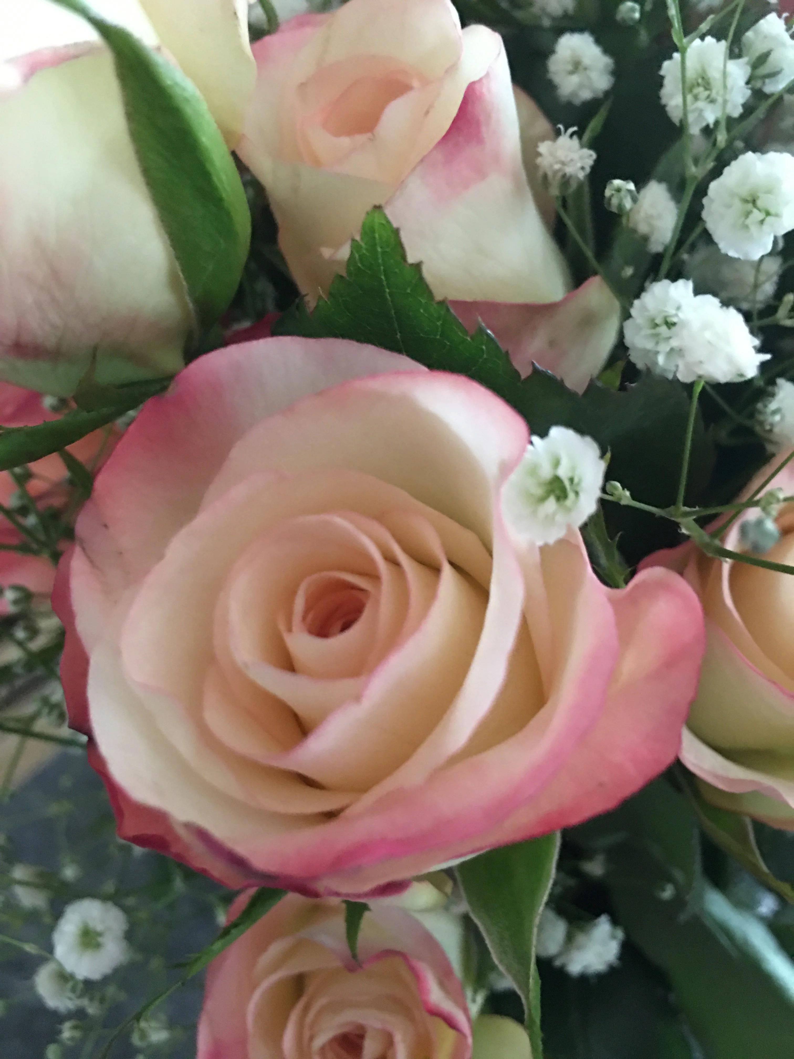 BC25A1D6-E1BD-467B-A565-BB1E70091100.webp
