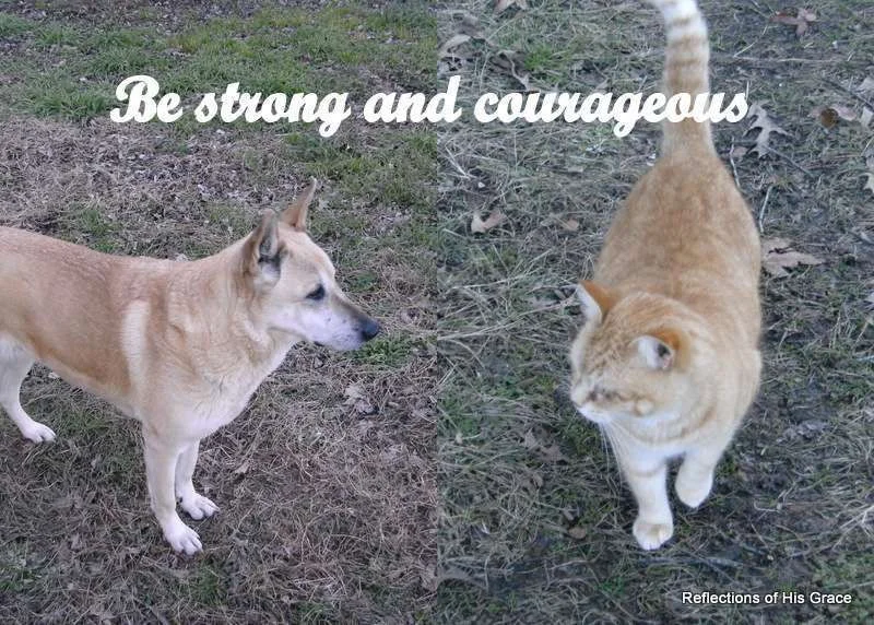 be_strong_and_courageous.webp