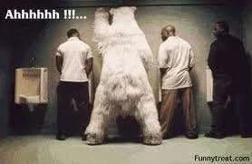 Bear it all.webp