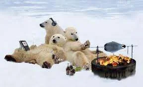 Bear party.webp