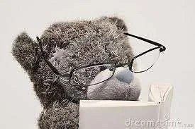 Bear reads the rules.webp