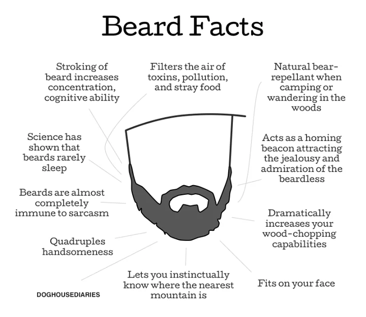 Beard facts.webp