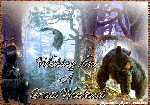 BearForestWeekend.gif