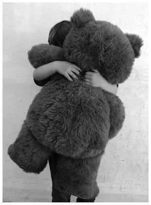 bearhug-carry.webp
