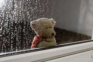bearrain.webp