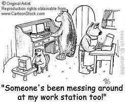 bears at the office.webp