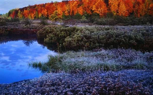 beautiful-fall-colors-01.webp