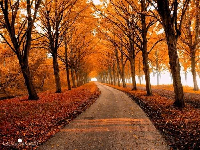 Beautiful-Lane-Photography-Lars-01.webp