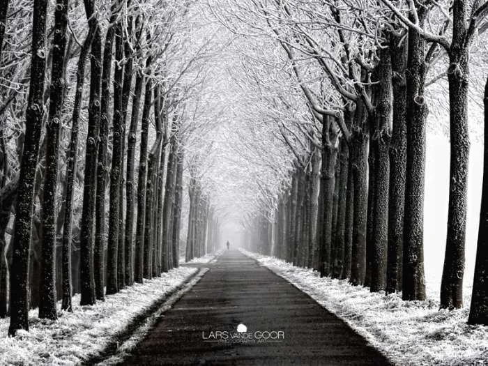 Beautiful-Lane-Photography-Lars-02.webp
