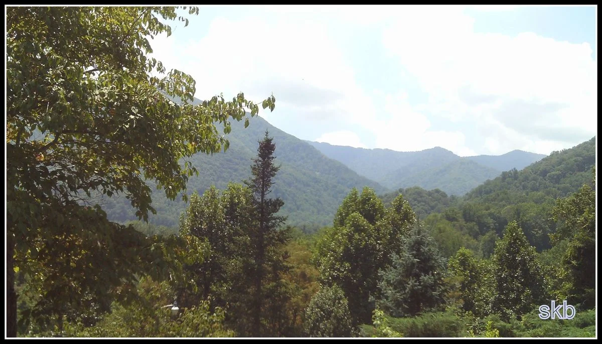 Beautiful Mountains.webp