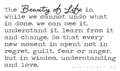 Beauty of Life.webp