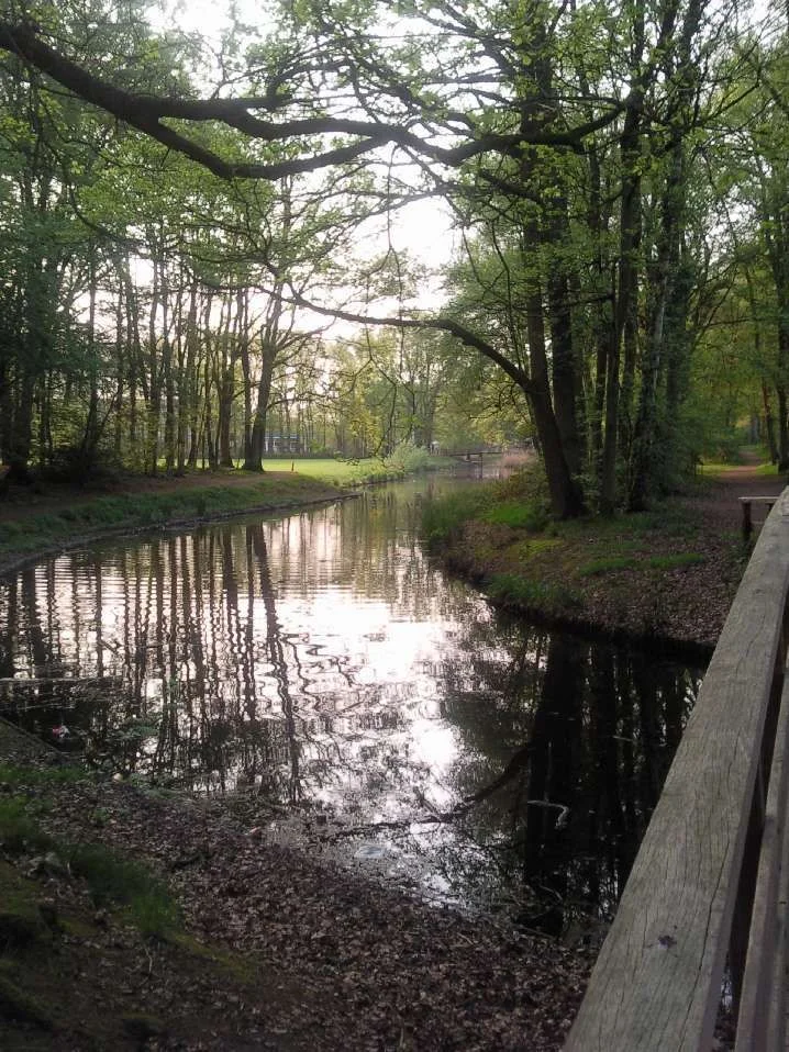 beauty of nature.webp
